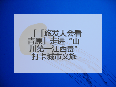 「旅发大会看青原」走进“山川第一江西景” 打卡城市文旅新地标（图）
