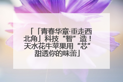「青春华章·重走西北角」科技“智”造！天水花牛苹果用“芯”甜透你的味蕾