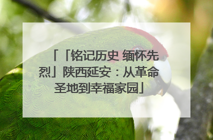 「铭记历史 缅怀先烈」陕西延安：从革命圣地到幸福家园