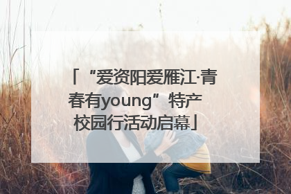 “爱资阳爱雁江·青春有young”特产校园行活动启幕