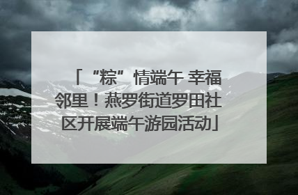 “粽”情端午 幸福邻里！燕罗街道罗田社区开展端午游园活动