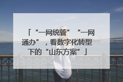 “一网统管”“一网通办”，看数字化转型下的“山东方案”