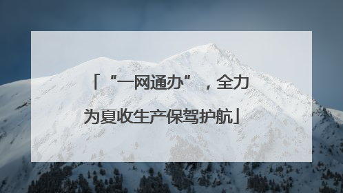 “一网通办”，全力为夏收生产保驾护航