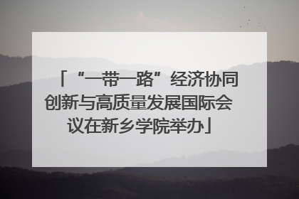 “一带一路”经济协同创新与高质量发展国际会议在新乡学院举办