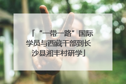 “一带一路”国际学员与西藏干部到长沙县湘丰村研学