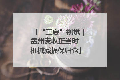 “三夏”视觉｜孟州麦收正当时 机械减损保归仓