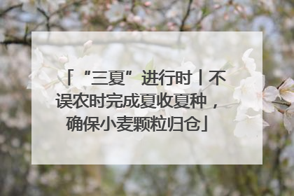 “三夏”进行时丨不误农时完成夏收夏种，确保小麦颗粒归仓
