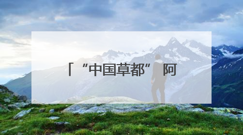 “中国草都” 阿鲁科尔沁旗：从野生牧草亩产 35 公斤到苜蓿草亩产 800 公斤以上