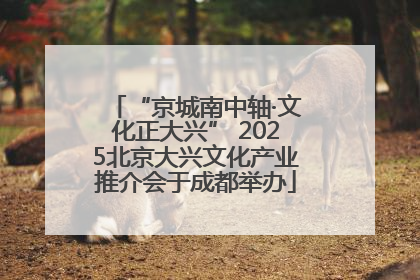 “京城南中轴·文化正大兴” 2025北京大兴文化产业推介会于成都举办