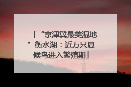 “京津冀最美湿地”衡水湖：近万只夏候鸟进入繁殖期