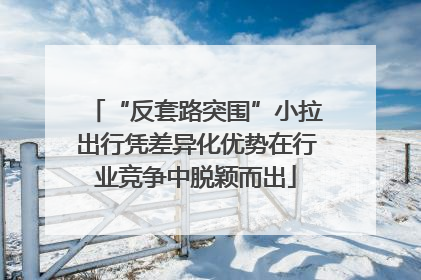 “反套路突围”小拉出行凭差异化优势在行业竞争中脱颖而出