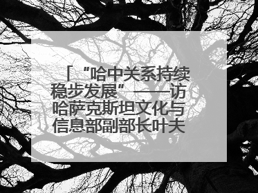 “哈中关系持续稳步发展”——访哈萨克斯坦文化与信息部副部长叶夫根尼·科切托夫