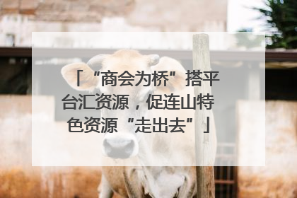 “商会为桥”搭平台汇资源，促连山特色资源“走出去”