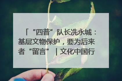 “四普”队长冼永城：基层文物保护，要为后来者“留言”｜文化中国行·我在广东找文物