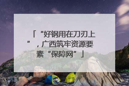 “好钢用在刀刃上”，广西筑牢资源要素“保障网”