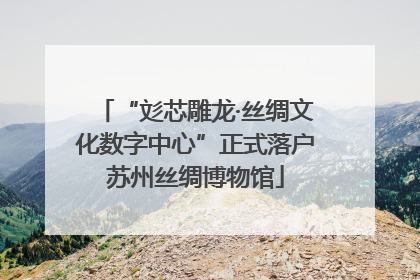 “彣芯雕龙·丝绸文化数字中心”正式落户苏州丝绸博物馆
