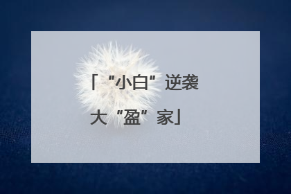 “小白”逆袭大“盈”家