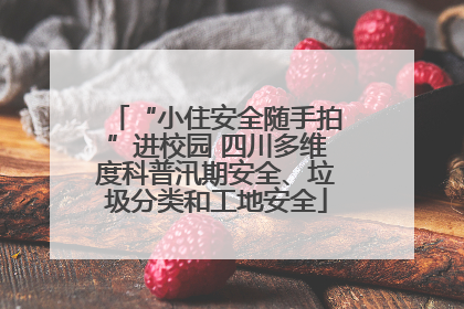 “小住安全随手拍”进校园 四川多维度科普汛期安全、垃圾分类和工地安全