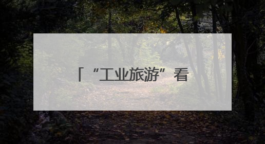 “工业旅游”看点多！外籍学生走进胶州李哥庄镇体验“胶州智造”