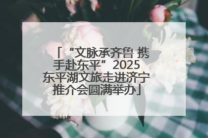 “文脉承齐鲁 携手赴东平”2025东平湖文旅走进济宁推介会圆满举办