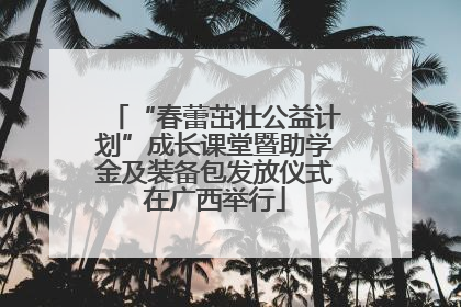 “春蕾茁壮公益计划”成长课堂暨助学金及装备包发放仪式在广西举行