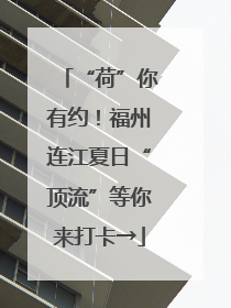 “荷”你有约！福州连江夏日“顶流”等你来打卡→