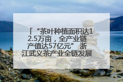 “茶叶种植面积达12.5万亩，全产业链产值达57亿元” 浙江武义茶产业全链发展“加速度”