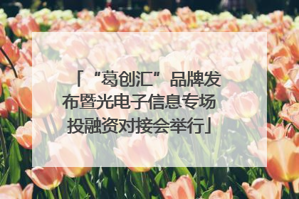 “葛创汇”品牌发布暨光电子信息专场投融资对接会举行
