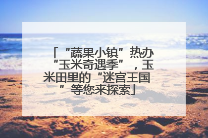 “蔬果小镇”热办“玉米奇遇季”，玉米田里的“迷宫王国”等您来探索