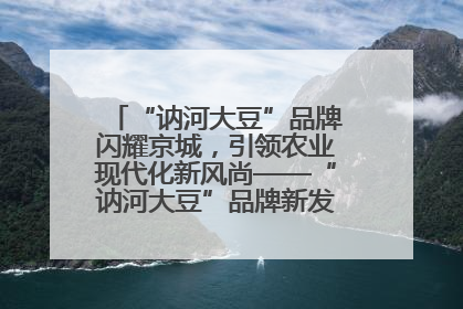“讷河大豆”品牌闪耀京城，引领农业现代化新风尚——“讷河大豆”品牌新发地推介会圆满落幕