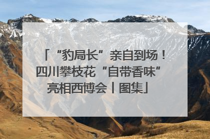 “豹局长”亲自到场！四川攀枝花“自带香味”亮相西博会丨图集