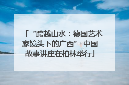 “跨越山水：德国艺术家镜头下的广西” 中国故事讲座在柏林举行
