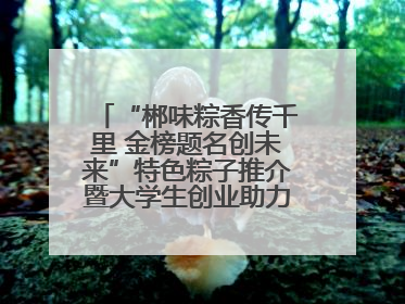 “郴味粽香传千里 金榜题名创未来”特色粽子推介暨大学生创业助力活动收官