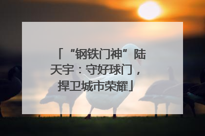 “钢铁门神”陆天宇：守好球门，捍卫城市荣耀