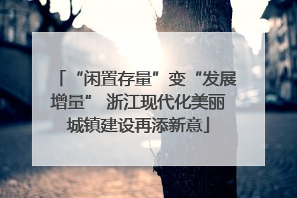 “闲置存量”变“发展增量” 浙江现代化美丽城镇建设再添新意