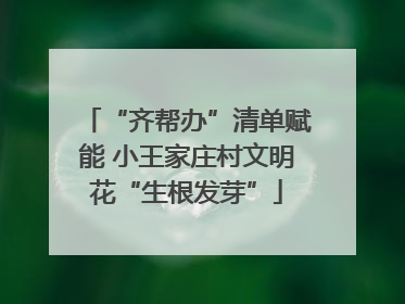 “齐帮办”清单赋能 小王家庄村文明花“生根发芽”