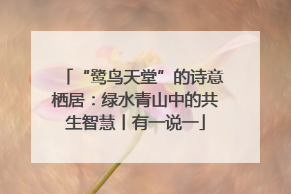 “鹭鸟天堂”的诗意栖居：绿水青山中的共生智慧丨有一说一