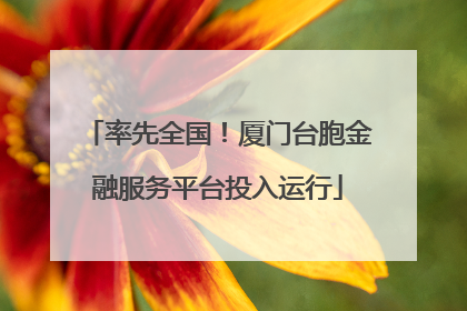 率先全国！厦门台胞金融服务平台投入运行