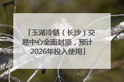 玉湖冷链（长沙）交易中心全面封顶，预计2026年投入使用