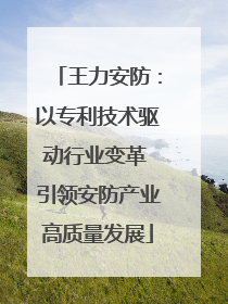 王力安防：以专利技术驱动行业变革 引领安防产业高质量发展
