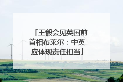 王毅会见英国前首相布莱尔：中英应体现责任担当
