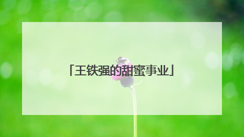 王铁强的甜蜜事业