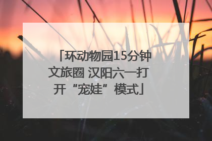 环动物园15分钟文旅圈 汉阳六一打开“宠娃”模式