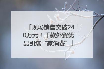 现场销售突破240万元！千款外贸优品引爆“家消费”