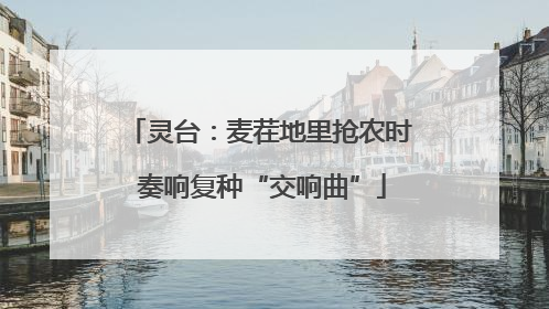 灵台：麦茬地里抢农时 奏响复种“交响曲”