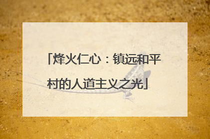 烽火仁心：镇远和平村的人道主义之光