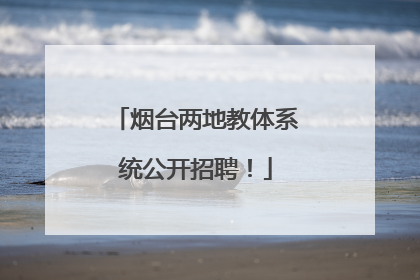 烟台两地教体系统公开招聘！