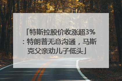 特斯拉股价收涨超3%：特朗普无意沟通，马斯克父亲劝儿子低头