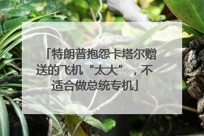 特朗普抱怨卡塔尔赠送的飞机“太大”，不适合做总统专机