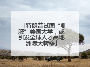 特朗普试图“驯服”美国大学，或引发全球人才高地洲际大转移